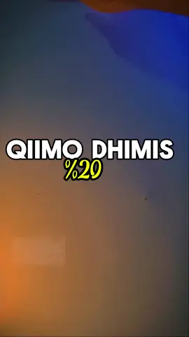 Qiimo Dhimis %20 𝐩𝟏𝟓 𝐦𝐢𝐧𝐢 𝐭𝐫𝐢𝐩𝐨𝐝 #TikTokLive #TikTokCreators #SmallBusiness #ContentCreators #mogadishu 