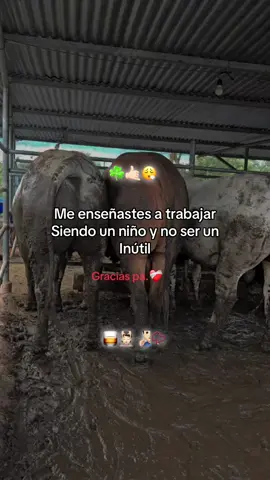 #🍀ganaderosgt🇬🇹😎🙏 #losdoscarnales 