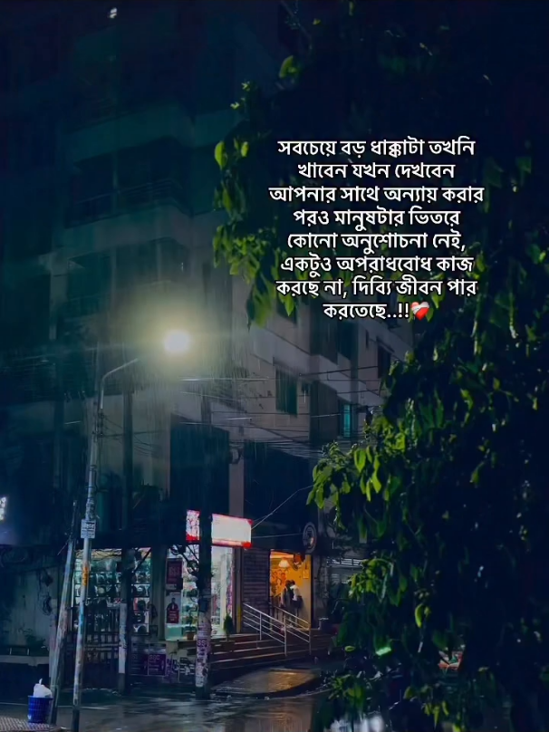 আমি সবচে বড় ধাক্কা তখন খাইছি যখন দেখলাম আমার সাথে অন্যায় করার পরেও তার ভিতরে কোনো অনুশোচনা বা অপরাধবোধ কাজ করে নাই, সে দিব্যি তার সুখে হাসি-খুশি ভাবে জীবন পার করছে,!!!!💔😅#capcut 