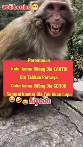 iyakan🤣🤣🤣 slmtptg semua shbt kesayangan IshA 🥰☕ sanTai Aje 😁#fypシ゚viral🖤video  #fypシ゚viral🖤  #sekadarhiburan #creatorsearchinsights 