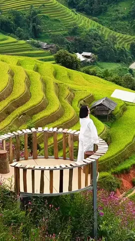 #فيتنام🇻🇳 #اوكسجين #راحةنفسية #creatorsearchinsights 