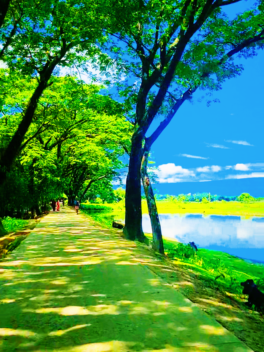 আজকের আকাশটা অনেক সুন্দর,,