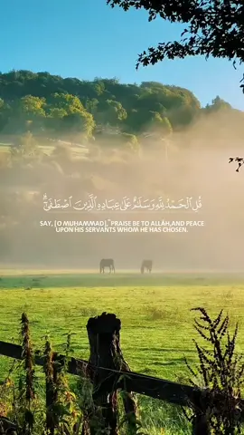 #creatorsearchinsights  #quran 