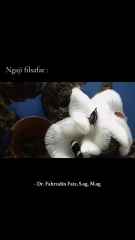 #foryoupage #ngajifilsafat #fahruddinfaiz #beranda 