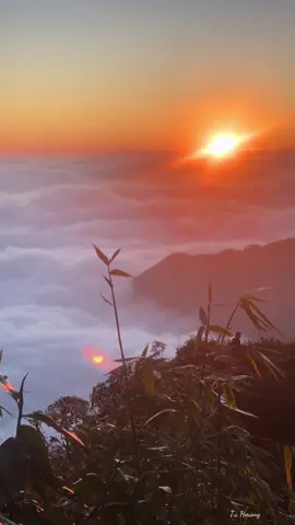 koj puas tau quaj dua #tusiab 