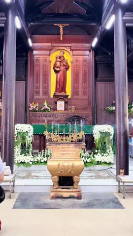 Xin ngài ban bình an cho chúng con ❤️ #thanhanton #viral 