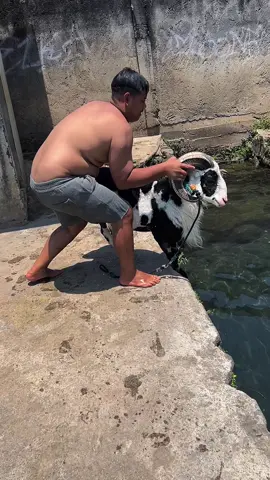 tirizz tapi enakeun🥶 #dombagarut  #wisatagarut 