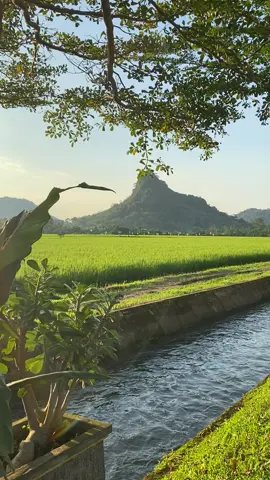 #vibesmerasi #merasilubuklinggau 