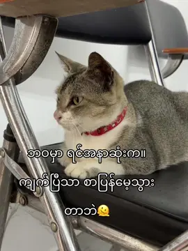 @Pyae Phyo Kyaw😖💖 @M.N🇯🇵 #tiktok #fpy 