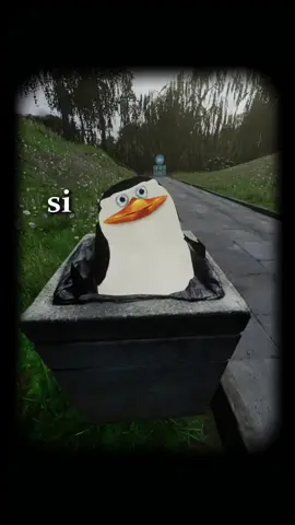 #humor #paratiiiiiiiiiiiiiiiiiiiiiiiiiiiiiii 