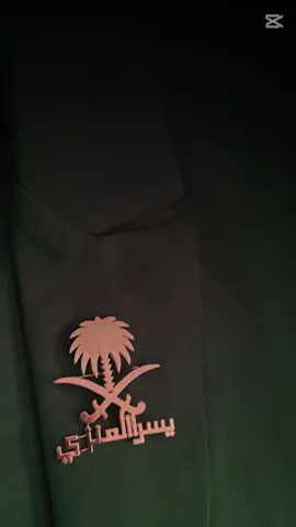 #CapCut #CapCut #اليوم_الوطني_السعودي_95 #السعودية🇸🇦 #الرياض 