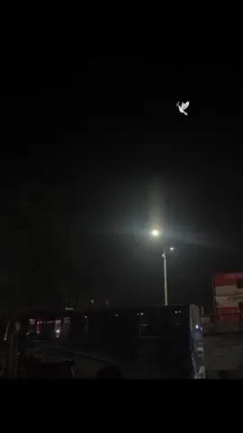 কারণ জানা নেই!! #unfrezzmyaccount #unfrezzmyaccount #foryouuu #tiktokofficialbangladesh #growmyaccount 