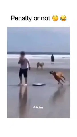 Wait! Whaaaat??😂😂😂 #penalty  #funnyvideos   #Fyp #Dog #ocean 