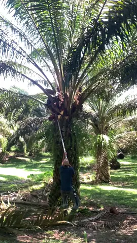 #fyppppppppppppppppppppppp #fyp #fypシ゚ 