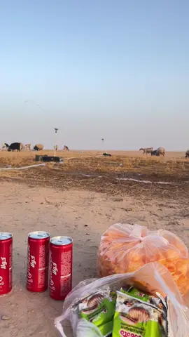 #تصويري #تصويري_احترافي_الاجواء👌🏻🕊😴 #شعر #حزن #تصميم_فيديوهات🎶🎤🎬 