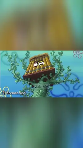 Squidward ora katokan🤣