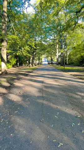 #foryou #creatorsearchinsights #nature 