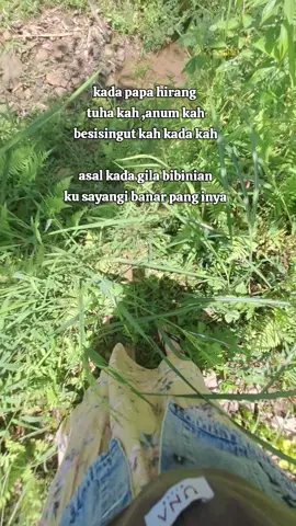 #fyp #kandangan #hss #kotadodol  #kalimantanselatan 