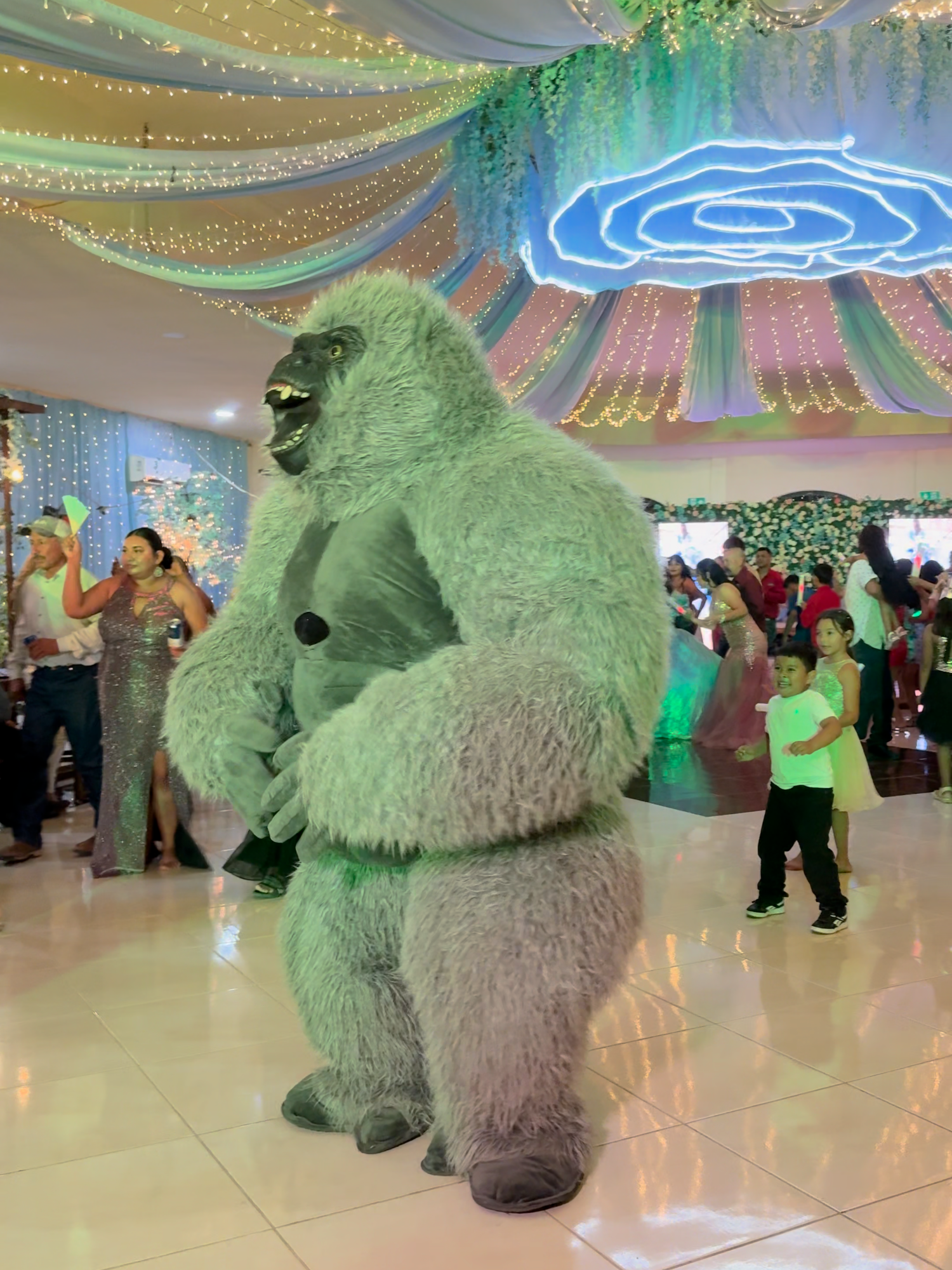 Trabajando con la Botarga 🦍 #lamiradapreñadora #bailando #ambiente #djfranzrdz #elbailedelgorila💃🕺🦍