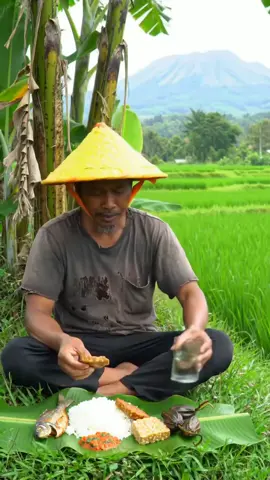 sederhana tapi bahagia 🥰 #ndesovibes #suasanapedesaan #sawah #hidupdidesa #makan 