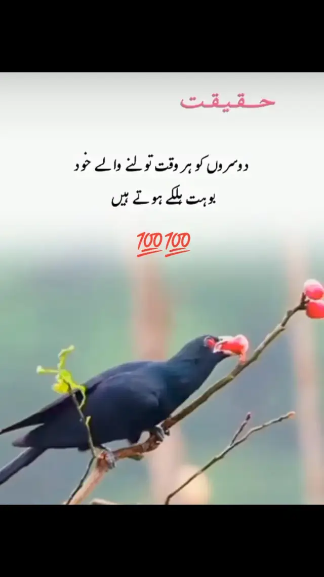 💯💯#sadpotery💔😔 #zalimjutt777 #alonnelife💔💔💔 #foryou #foryou #foryoupage❤️❤️ #fpyシ #fpyシ #fpyシ 