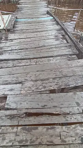 cerita sore in di kampung Kabaena#fyp #viral 