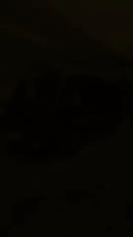 coaster jumbo...#jumbo#adiputro #canter #pariwisata #CapCut 