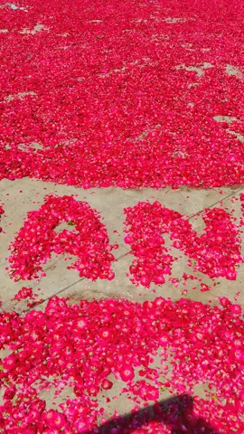 #shan #flowers #gehlanhithar #phol #mandi 