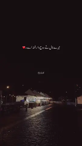 دس تن کیوے دل چو کڈ چھوڑا🌝🍂 #foryou #foryoupage #sadsong #aesthetic #lyrics @TikTok @TiktokPakistanOfficial 