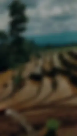 yu sendiri juga pasti bisa 😔😔