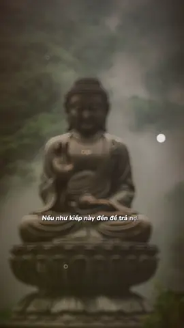 Nam Mô A Di Đà Phật 🙏 #viral #phatphapnhiemmau #phatphap #nammoadidaphat #nammobonsuthichcamauniphat 