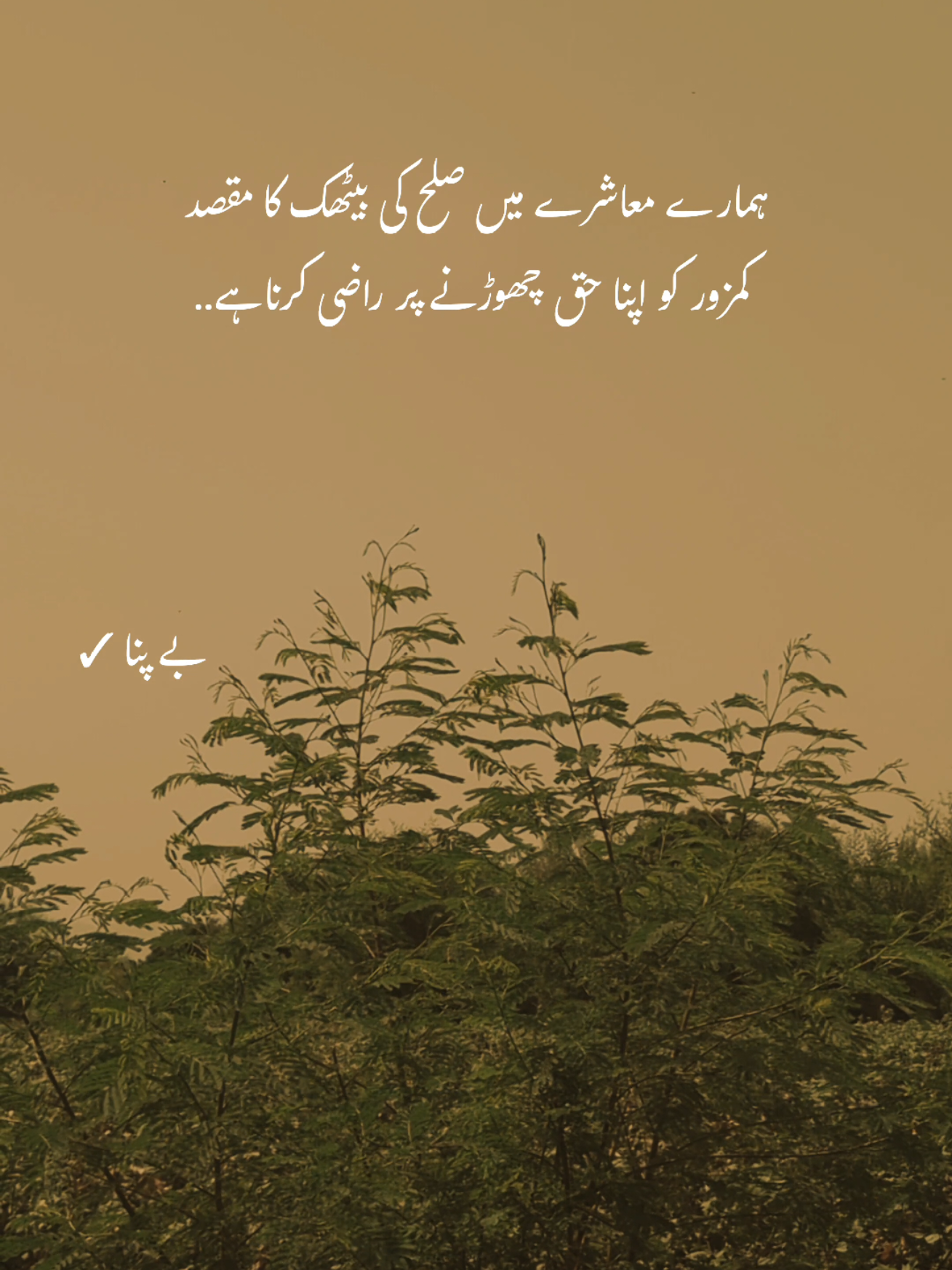 Deep words ❤️‍🩹 #1millionaudition #foryou #asthetic #poetrystatus #fypp 