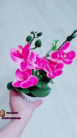 Click yellow basket to order✨