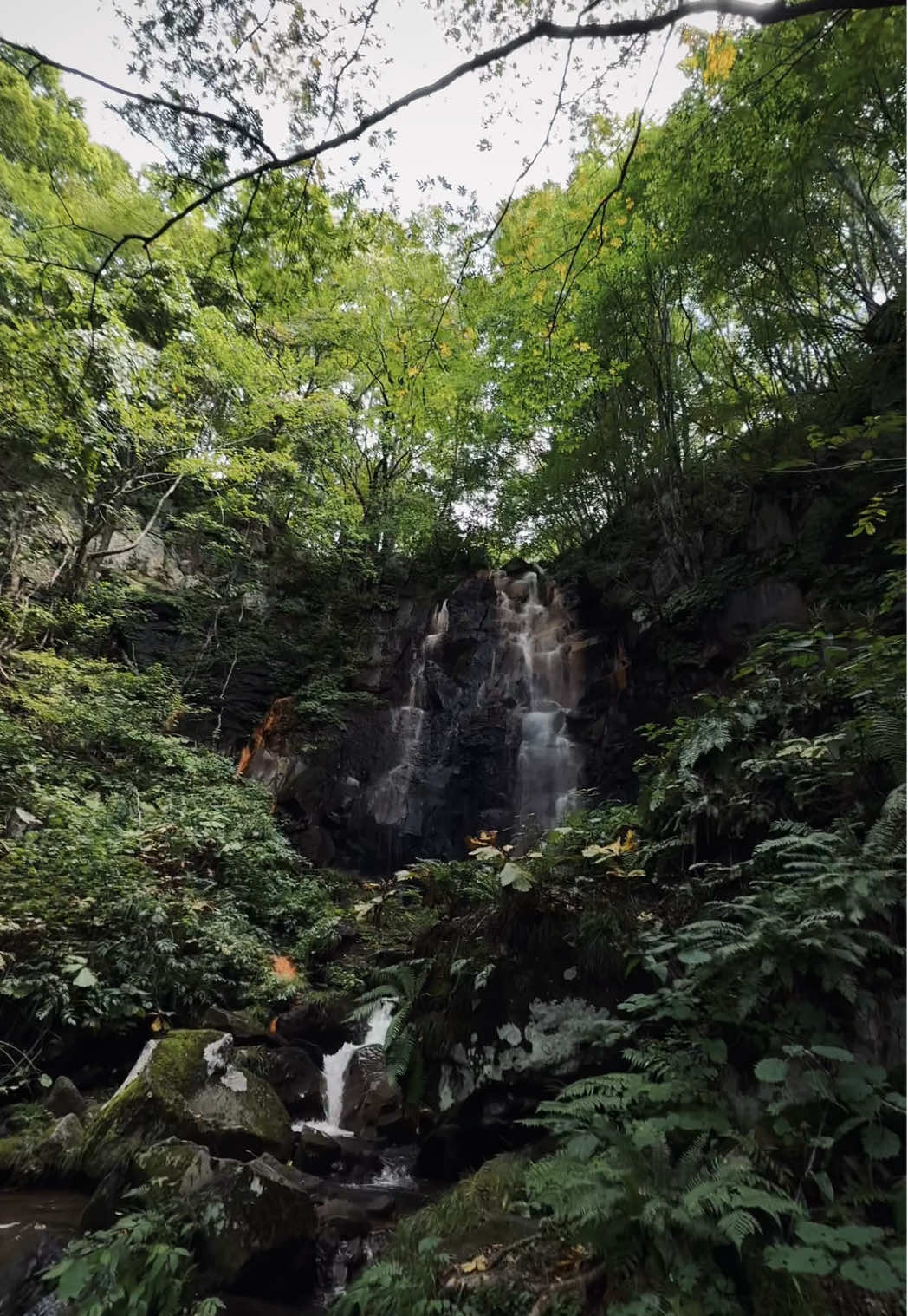 #falls #nature #vibes #fyp