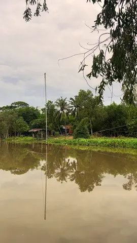 Một gốc bình yên….#buontamtrang 