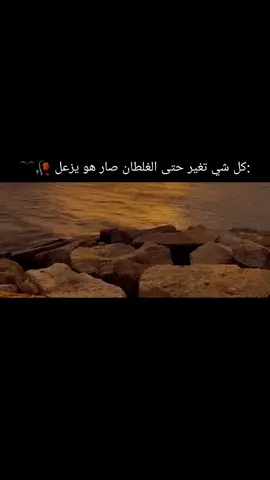 #محمد2006 #تخيل،شجرةبيها،وراق #تخيل،شجرةبيها،وراق 