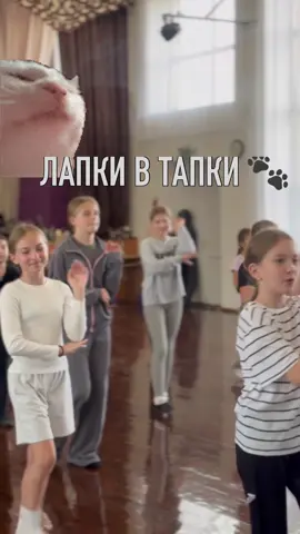 Піднімаємо настрій нашими котиками❤️‍🔥 #будиноккультури #сузіря #дозвілля #хореографіядлядітей 