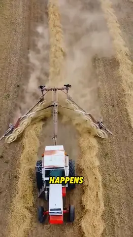 Whole Field Cleared in Minutes! #StrawHarvest #ModernFarming #FarmMachines #AgricultureTech #MindBlowingMachines