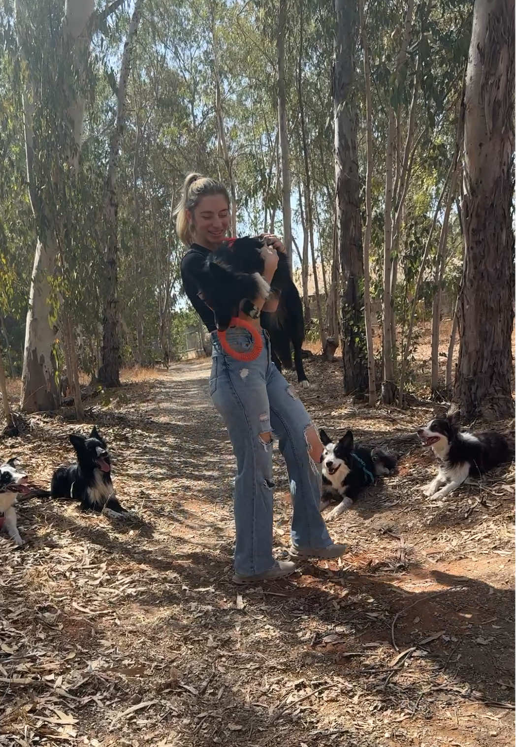 When your 8 months old puppy has audience 🤩 #foryou #dogmom #dogsoftiktok #DogTraining 