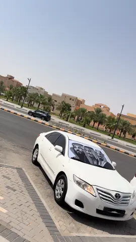 #كامري11 #fyp #بريده #اليوم_الوطني_95 😻💚💚💚💚