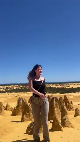 Pinnacles desert 