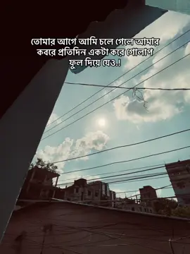 তোমার আগে আমি চলে গেলে আমার কবরে প্রতিদিন একটা করে গোলাপ ফুল দিয়ে যেও .!⚰️🌸#fbyツ #vairal #foryou @TikTok #foryoupage @TikTok Bangladesh 