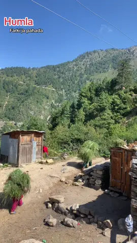 #keeploveing❤️✌️ #karnali #humla_muser 