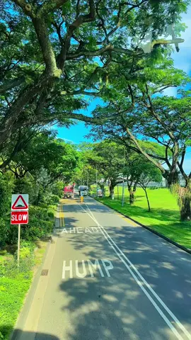 কে বলতে পারবে এই জায়গাটা কোথায়?😱🛣️#skyviews #singapore #followmyaccount🙏❣️ #enjoy_singlelife😎 #fypシ゚viral🖤tiktok☆♡🦋myvideo @it's nayeem bro 🤟😍 @..🥀SHARIF🇸🇬 @🇧🇩MAHIM SHEIKH🇸🇬 @TUSHAIR..💝 @ziaul Ahmed polash🇧🇩🇸🇬 
