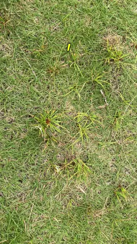 #golftok #golf #golflife #tiktokshop #golfer 