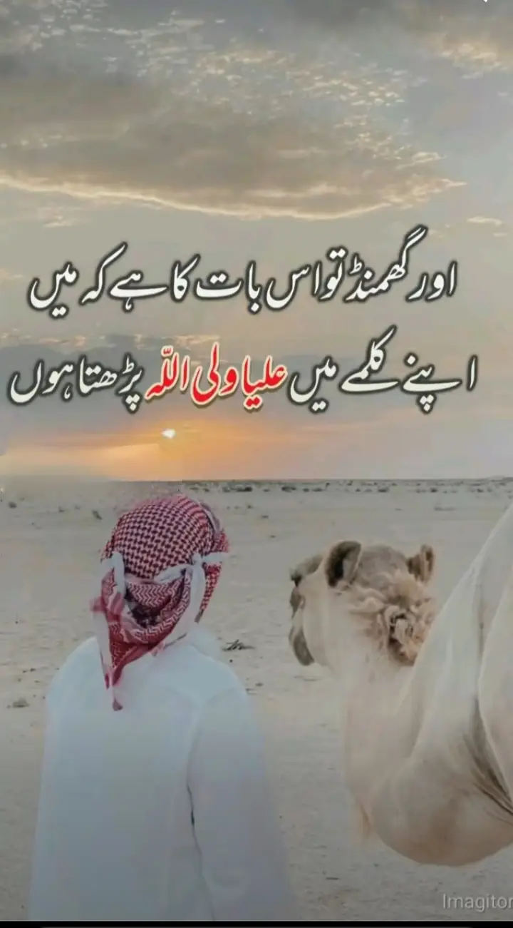 #foryou #foryou #foryou #نعرےحیدری_یاعلی 