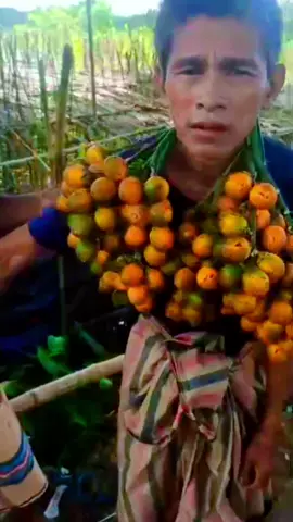 ঐ বন্ধু তুই তো বড় নেতা হয়ে গেছিস রে আগে তো সুপারি চুরি করে বেড়াতি।#🥲🥲🥲🥲 #copylinkplease💗 #viralvideo #foryou #আমাদের_আইডি_টা_সবাই_সাফোর্ট_করবেন 