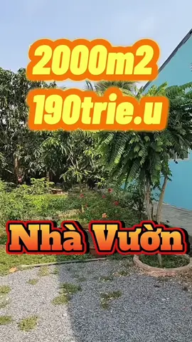 2000m² chỉ 190TR 😱 Nhà vườn nghỉ dưỡng cực rẻ – inbox ngay kẻo lỡ! 🏡 Cần liên hệ trong bio( tiểu sử ) của e nhé!#bấtđộngsản #nhavuon#datgiare #xuhuongtiktok #nghiduong 