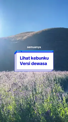 Ranu kumbolo dan seisinya #gunung #ranukumbolo 