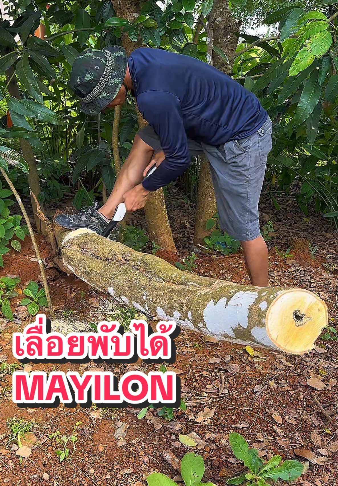 เลื่อยพับได้ MAYILON เลื่อยพับตัดกิ่งไม้ใช้ดีจริง ผมใช้มานานแล้วครับ #เลื่อยพับได้ #เลื่อยพับ #เลื่อย #เลื่อยmayilon 